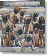 English Mastiff Puppies Metal Print