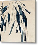 Eucalypt Metal Print