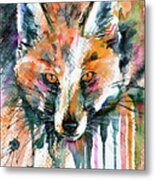 European Red Fox Metal Print