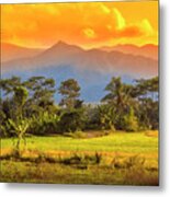 Evening Scene Metal Print