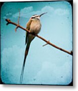 Exotic Birds - White Throated Bee Eater Metal Print