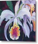 Exotic White Orchid Metal Print
