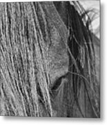 Eye Of Seven Metal Print