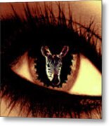 Eye Of The Zebra Metal Print