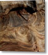 Faces In The Wood #3 Metal Print
