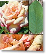 Fading Beauty Collage Print Metal Print
