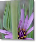 Fairy Wishes Flower Metal Print