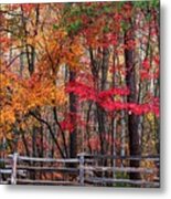 Fall And The Wood Fence Metal Print