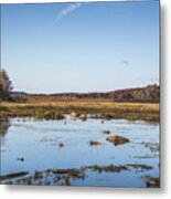 Fall At The Mill Pond Metal Print