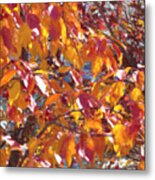 Fall Branches Paint Metal Print