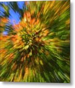 Fall Bursts On The Scene Metal Print