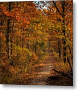 Fall Color At Centerpoint Trailhead Metal Print