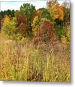 Fall Color Comes To Bull Valley Metal Print