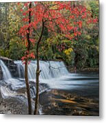 Fall Color In Dupont State Forest North Carolina Metal Print