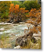Fall Colors Along The Pedernales River Metal Print