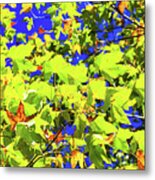 Fall Colors Metal Print