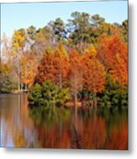 Fall In Sc Metal Print