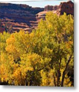 Fall In The Arches Metal Print