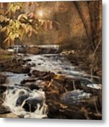Fall In The Woodland Metal Print