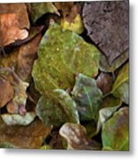 Fall Leaves In Green Metal Print