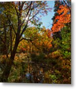 Fall Meadow And Sunburst Metal Print