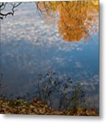Fall Reflection In Blue Metal Print