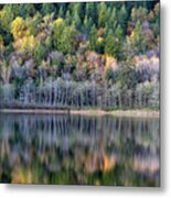 Fall Reflections On Deer Lake Metal Print