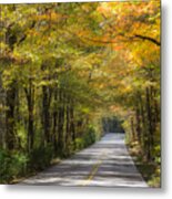 Fall Road At Oak Mountain Metal Print