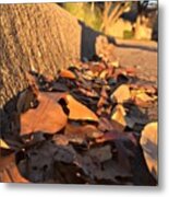 Fallen Leaves! Just Makes You Remember Metal Print