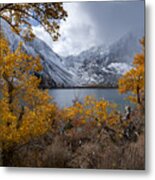 Falling Into Winter Metal Print