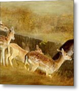 Fallow Deer Running Metal Print