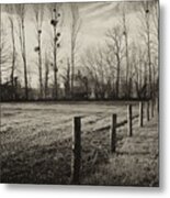 Fallow Field And Mistletoe Metal Print