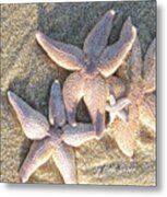 Family Starfish 2 Metal Print