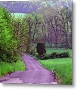 Farm Road Metal Print