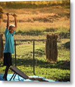 Farmers Rice Grain Threshing During Harvest Time. Metal Print