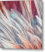 Feather Brushed Abstract Metal Print