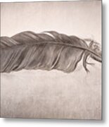 Feather Metal Print