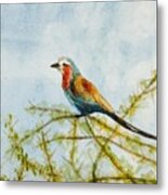 Feather Weight Metal Print