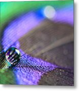 Feathers And Water Drops Metal Print