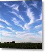 Feathers In Blue Sky Metal Print