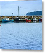 Feltzen South Metal Print