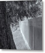 Fence In Black And White Metal Print