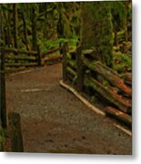 Fence Through The Forest Metal Print