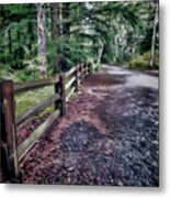 Fences In The Wilderness Metal Print