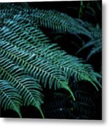 Patterns Of Nature 6 Metal Print