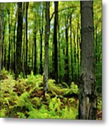 Ferns In The Forest - West Virginia Metal Print