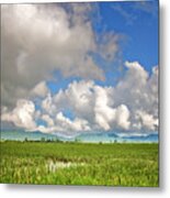 Field Metal Print