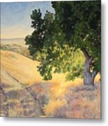 Field Oak Metal Print