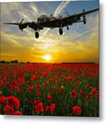 Field Of The Fallen Metal Print