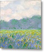 Field Of Yellow Irises At Giverny Metal Print
